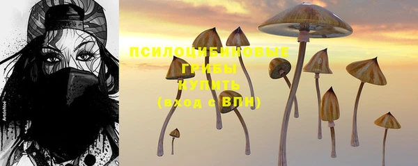 кристаллы Абаза